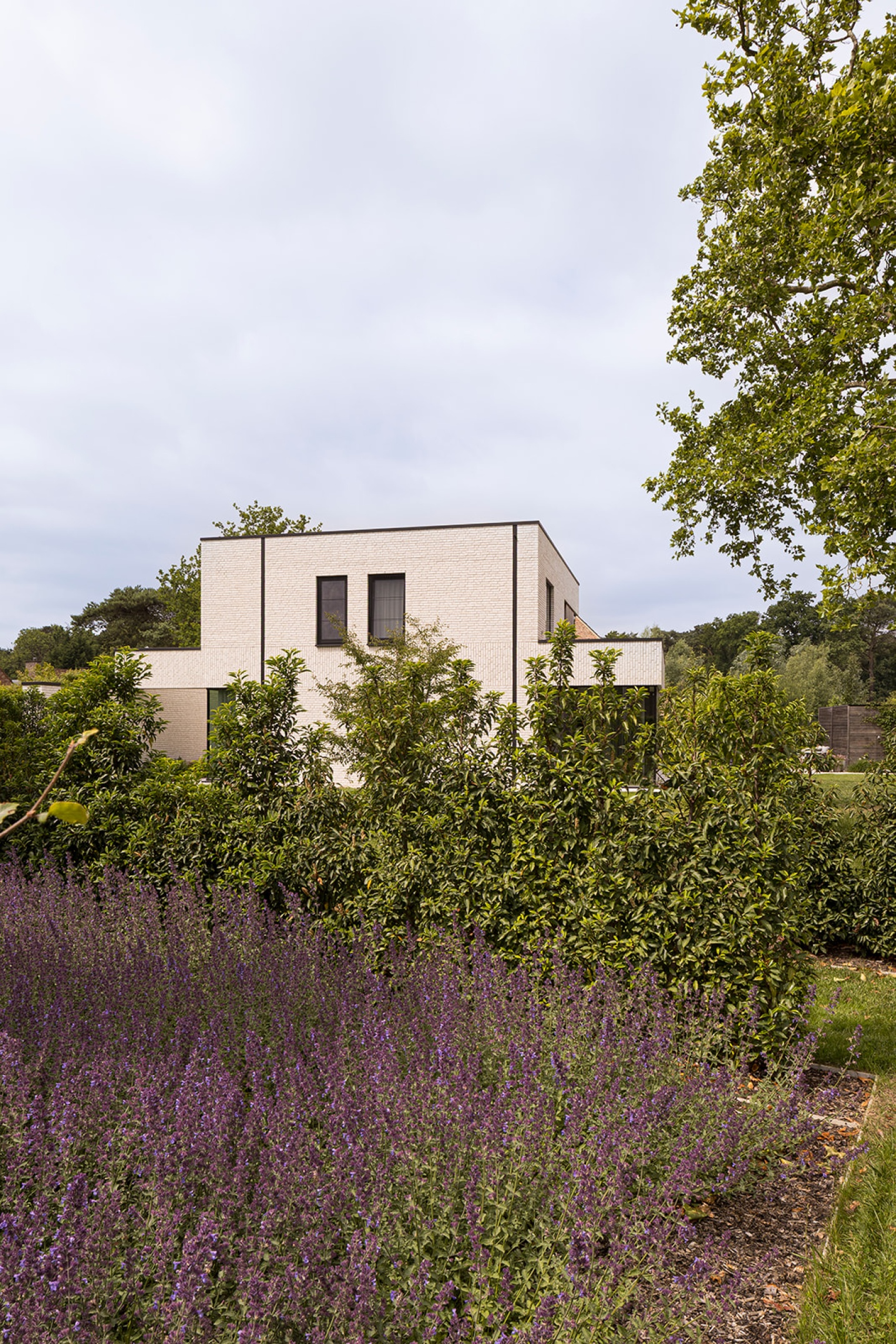villa keerbergen tuinontwerp groen nieuwe beige steen modern ontwerp - SFAR Interieur & Architecten
