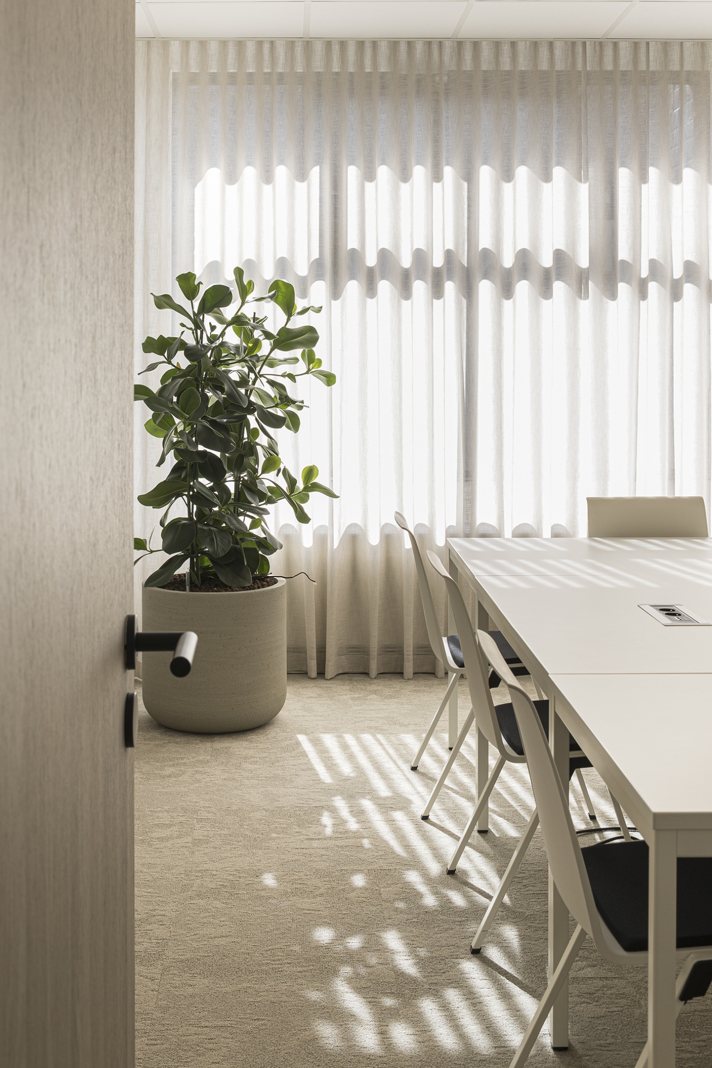 glasgordijnen luxe vergaderzaal ontwerp planten ontwerp 
