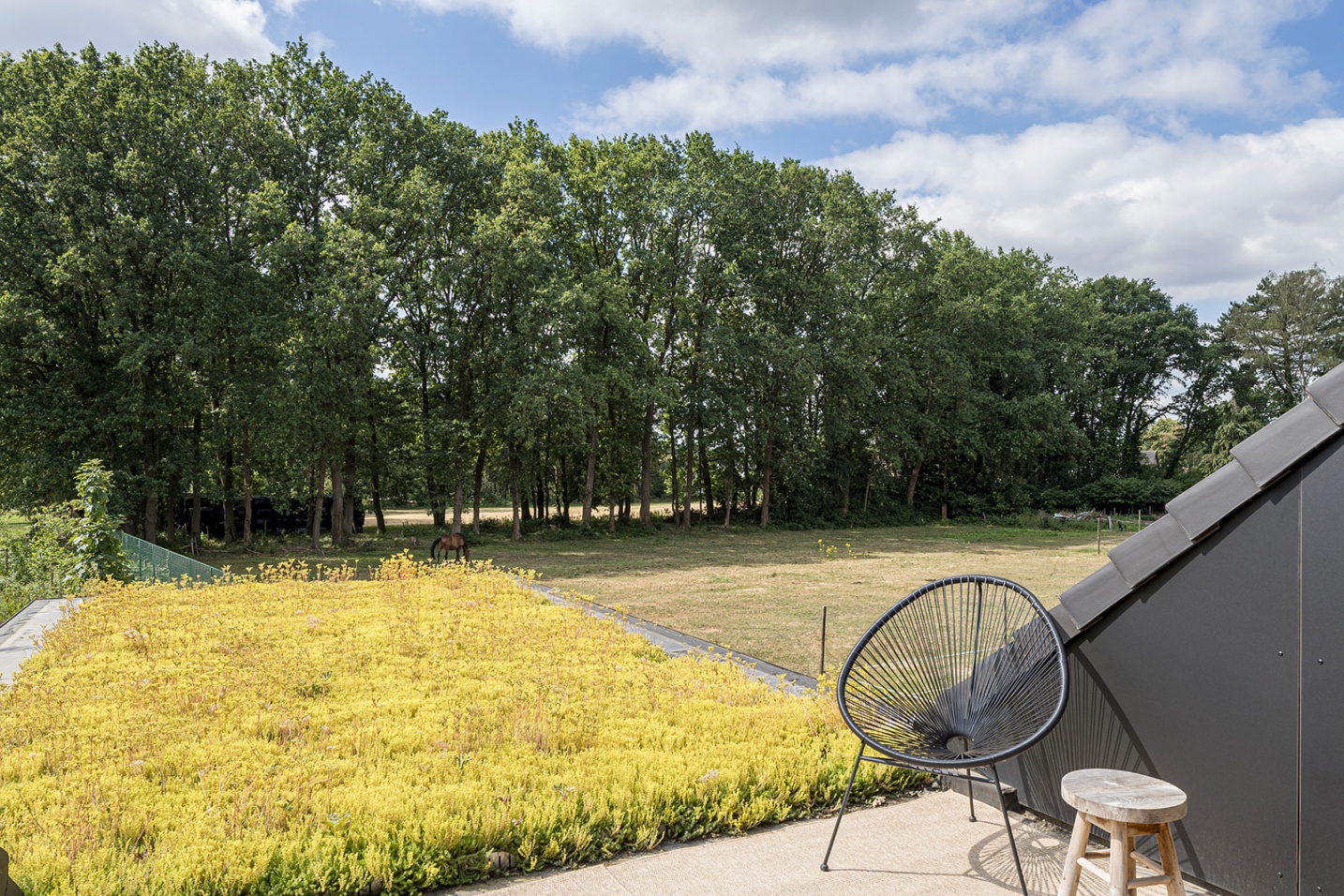mooi uitzicht architectuur terras  woning zonhoven verbouwing plantendak
